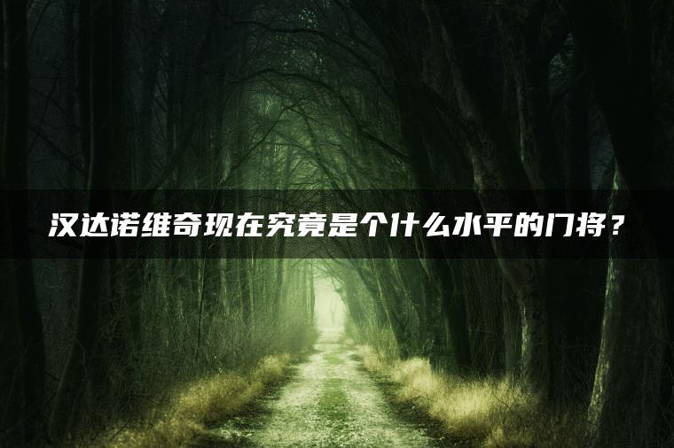 汉达诺维奇现在究竟是个什么水平的门将？