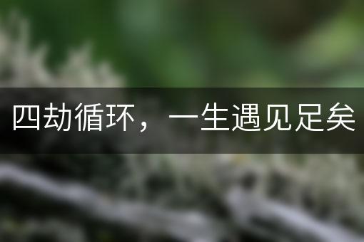 四劫循环，一生遇见足矣