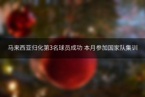 马来西亚归化第3名球员成功 本月参加国家队集训