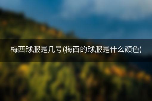 梅西球服是几号(梅西的球服是什么颜色)