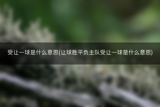 受让一球是什么意思(让球胜平负主队受让一球是什么意思)