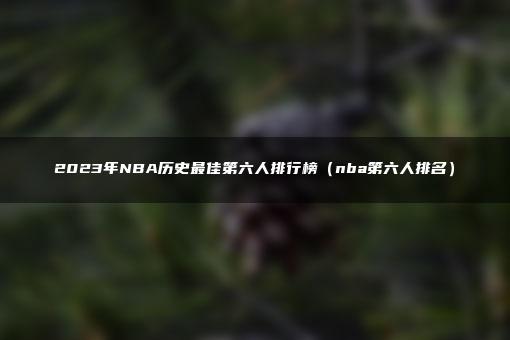 2023年NBA历史最佳第六人排行榜（nba第六人排名）