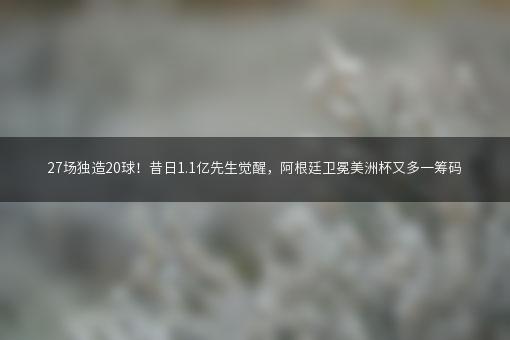 27场独造20球！昔日1.1亿先生觉醒，阿根廷卫冕美洲杯又多一筹码