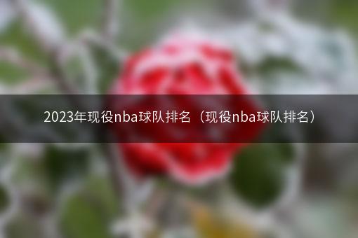 2023年现役nba球队排名（现役nba球队排名）