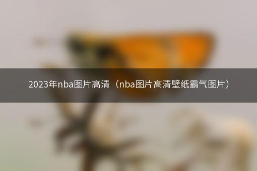 2023年nba图片高清（nba图片高清壁纸霸气图片）