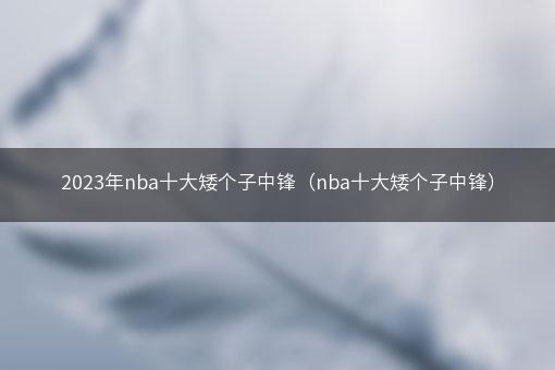 2023年nba十大矮个子中锋（nba十大矮个子中锋）