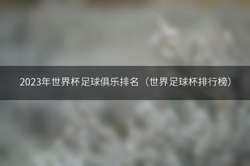 2023年世界杯足球俱乐排名（世界足球杯排行榜）
