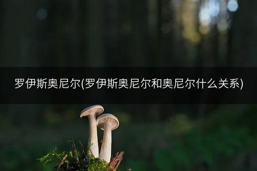 罗伊斯奥尼尔(罗伊斯奥尼尔和奥尼尔什么关系)