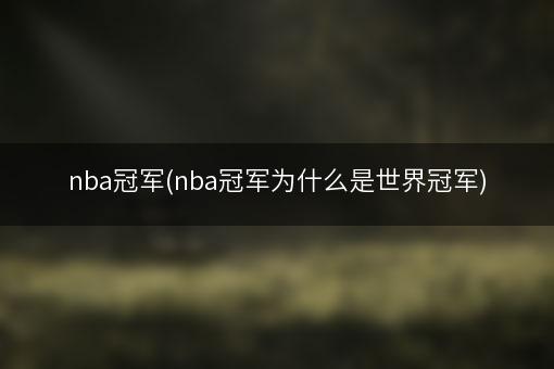 nba冠军(nba冠军为什么是世界冠军)