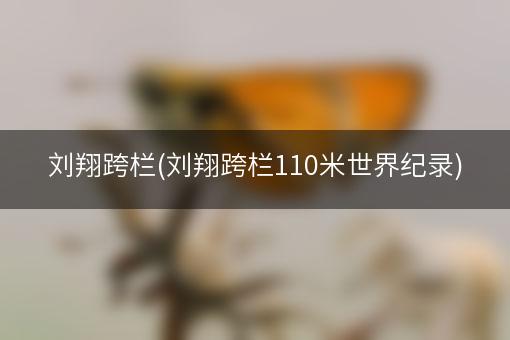 刘翔跨栏(刘翔跨栏110米世界纪录)