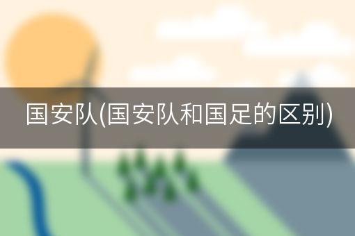国安队(国安队和国足的区别)