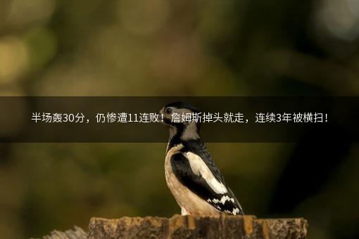 半场轰30分，仍惨遭11连败！詹姆斯掉头就走，连续3年被横扫！