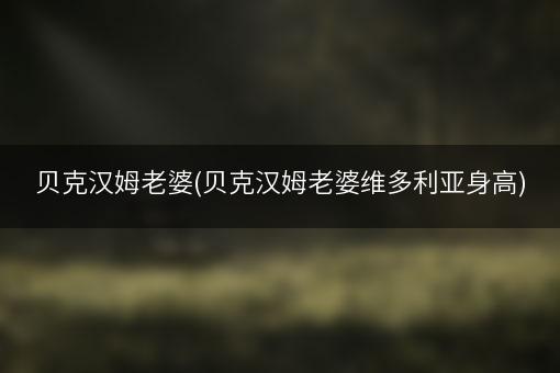 贝克汉姆老婆(贝克汉姆老婆维多利亚身高)