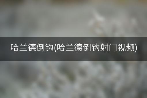 哈兰德倒钩(哈兰德倒钩射门视频)