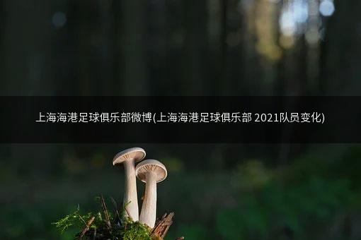 上海海港足球俱乐部微博(上海海港足球俱乐部 2021队员变化)