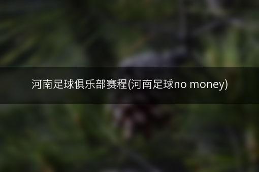 河南足球俱乐部赛程(河南足球no money)