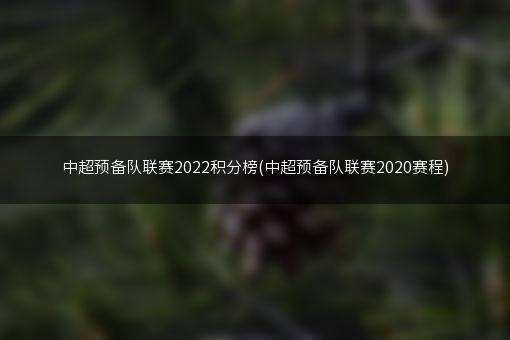 中超预备队联赛2022积分榜(中超预备队联赛2020赛程)