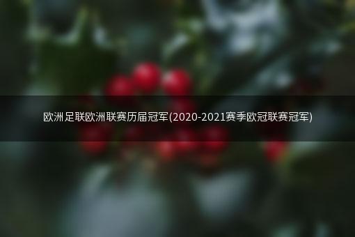 欧洲足联欧洲联赛历届冠军(2020-2021赛季欧冠联赛冠军)