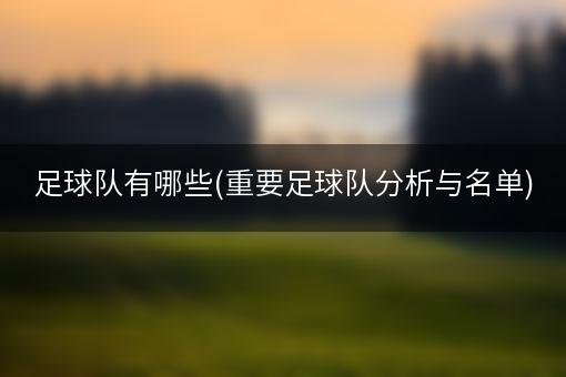 足球队有哪些(重要足球队分析与名单)