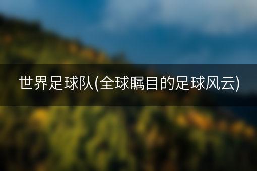 世界足球队(全球瞩目的足球风云)