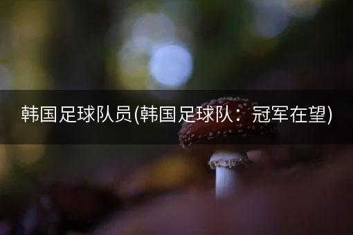 韩国足球队员(韩国足球队：冠军在望)