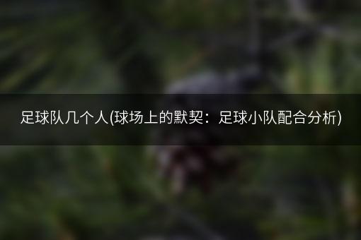足球队几个人(球场上的默契：足球小队配合分析)