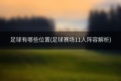 足球有哪些位置(足球赛场11人阵容解析)