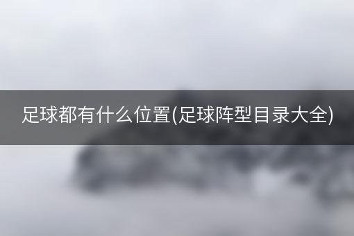 足球都有什么位置(足球阵型目录大全)