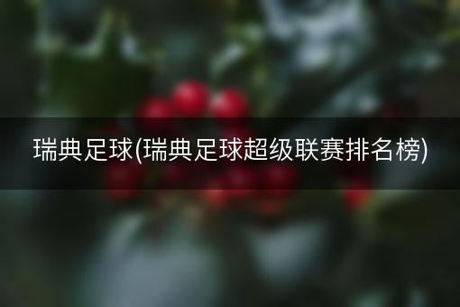 瑞典足球(瑞典足球超级联赛排名榜)
