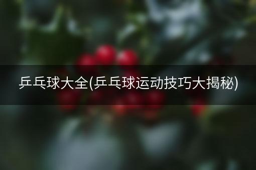 乒乓球大全(乒乓球运动技巧大揭秘)