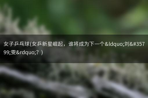 女子乒乓球(女乒新星崛起，谁将成为下一个“刘诗雯”？)