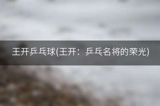 王开乒乓球(王开：乒乓名将的荣光)