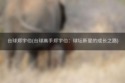 台球郑宇伯(台球高手郑宇伯：球坛新星的成长之路)