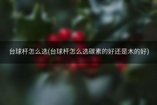 台球杆怎么选(台球杆怎么选碳素的好还是木的好)