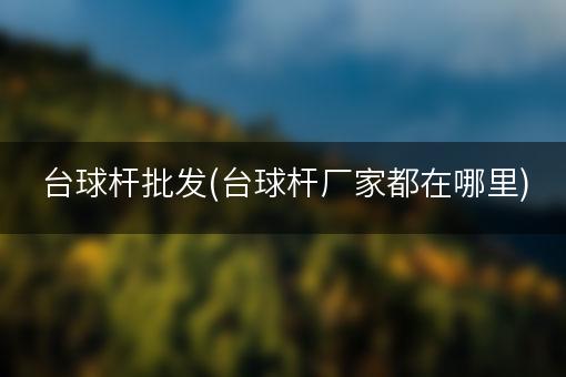 台球杆批发(台球杆厂家都在哪里)