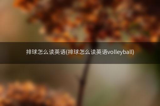 排球怎么读英语(排球怎么读英语volleyball)