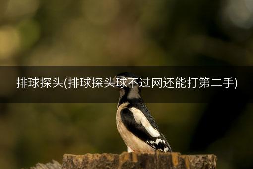 排球探头(排球探头球不过网还能打第二手)