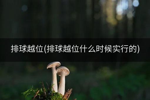 排球越位(排球越位什么时候实行的)