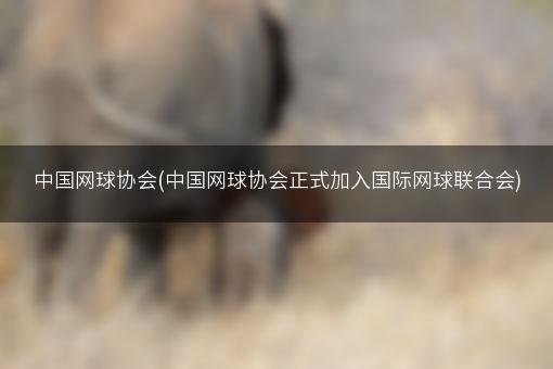 中国网球协会(中国网球协会正式加入国际网球联合会)