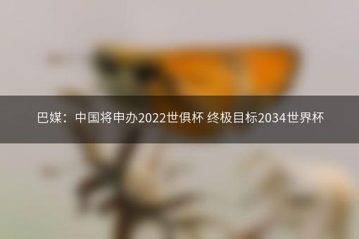 巴媒：中国将申办2022世俱杯 终极目标2034世界杯