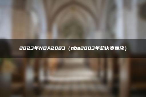 2023年NBA2003（nba2003年总决赛回放）