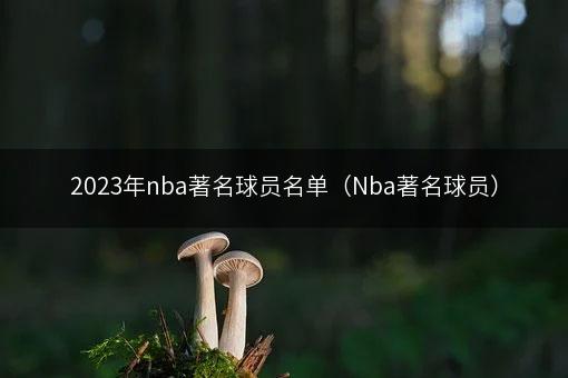 2023年nba著名球员名单（Nba著名球员）