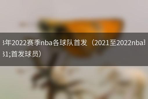 2023年2022赛季nba各球队首发（2021至2022nba球队首发球员）